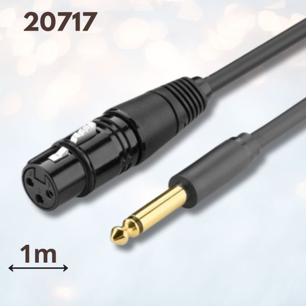 Cáp âm thanh 6.5mm sang Canon âm Ugreen 20717 1m màu đen, Lõi đồng, Đầu nối mạ vàng