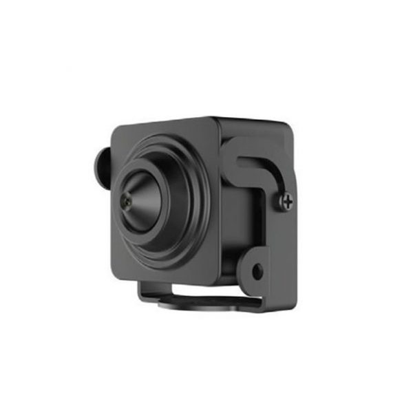 Camera ngụy trang ip 2 megapixel HIKVISION DS-2CD2D21G0-D/NF