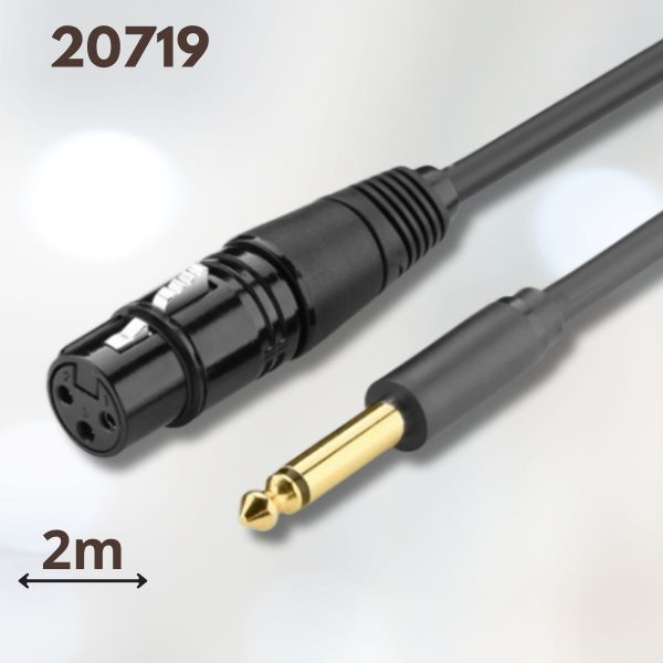 Cáp âm thanh 6.5mm sang Canon âm AV131 Ugreen 20719 2M màu Đen